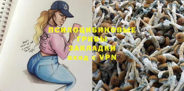 PSILOCYBIN Беслан