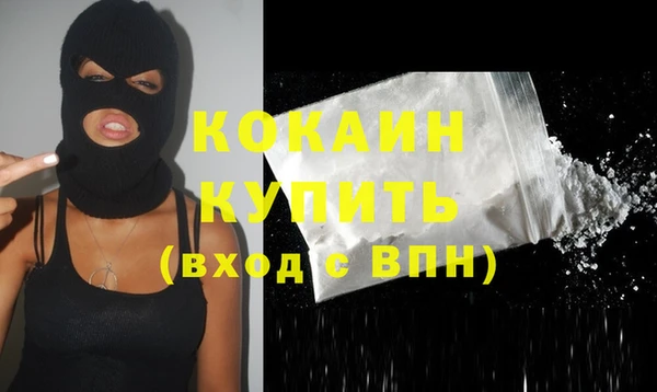 винт Няндома