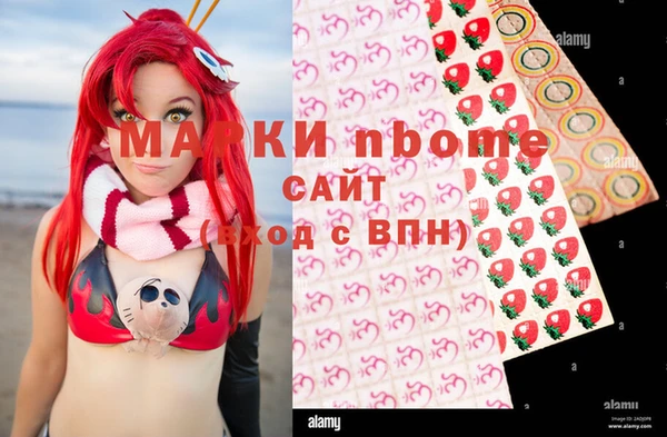 винт Няндома