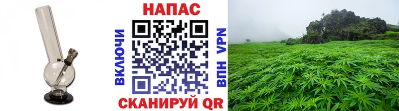 mega ссылка  наркошоп  Любань  Бошки марихуана VHQ 